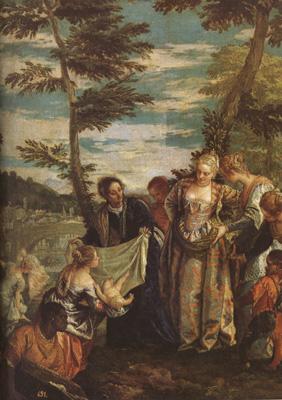 Paolo  Veronese The Finding of Moses (mk08) oil painting image